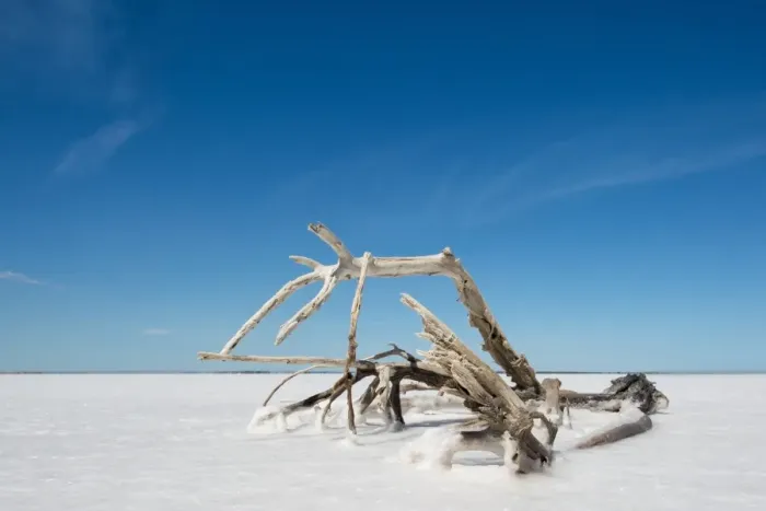 Framed Print : Salt lake, South Australia
