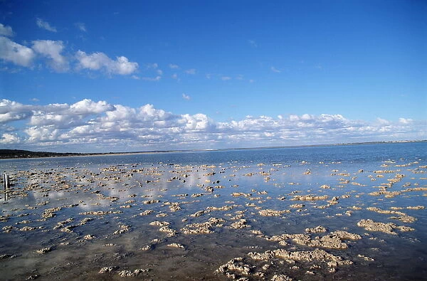 Salt Water Lagoon, Fowlers Bay, South Australia