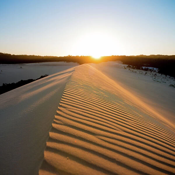 Sand Dune. Sunrise on the sand