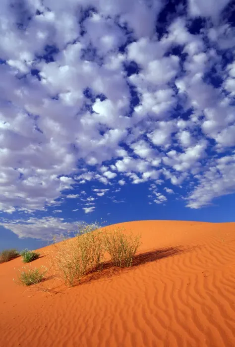 Framed Print : Sand Dunes Patterns, Simpson Desert, Northern Territory, Australia