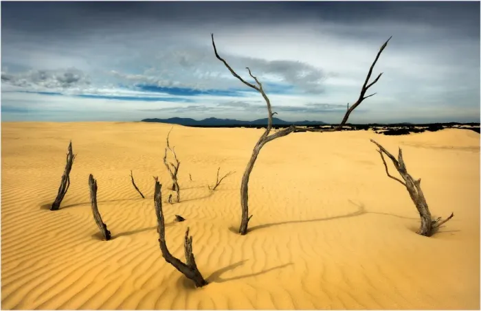 Framed Print : Sand-dunes in Wilsons Promontory National Park, Victoria, Australia