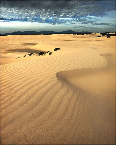 Sand-dunes in Wilsons Promontory National Park, Victoria, Australia