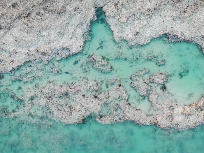 Framed Print : Sand eroding in an estuary shot from directly above