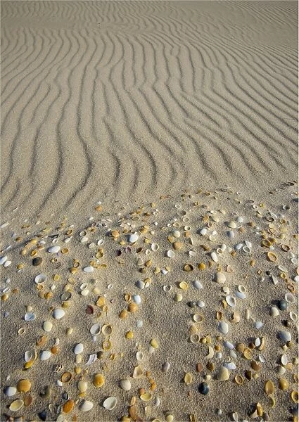 Sand patterns on the beach, King Island Bass Strait, Tasmania, Australia