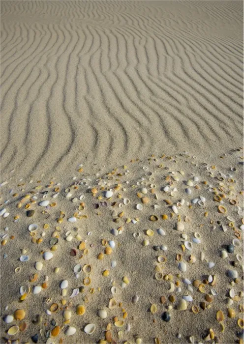Framed Print : Sand patterns on the beach, King Island Bass Strait, Tasmania, Australia