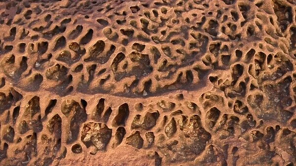 Sandstone texture at Eagle Gorge, Kalbarri National Park, Western Australia, Australia