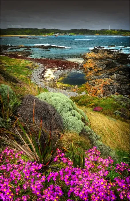Framed Print : A scene from Currie Harbour, which is a safe anchorage for the local Crayfish (Lobster) industry. West coast of King Island, Bass Strait, Tasmania Framed Print : A scene from Currie Harbour, which is a safe anchorage for the local Crayfish (Lobster) industry. West coast of King Island, Bass Strait, Tasmania