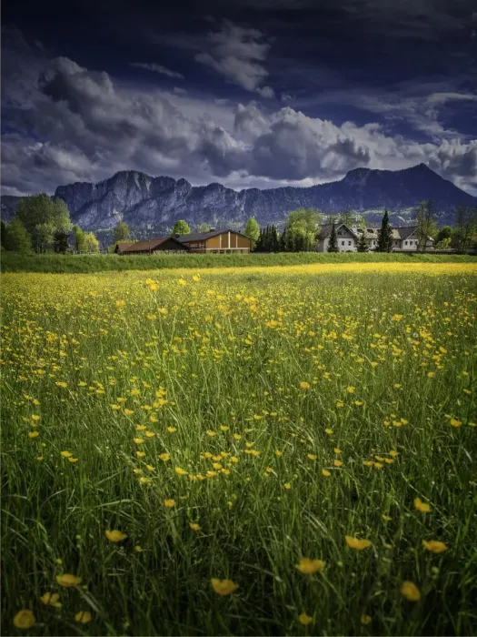 Framed Print : Scenic delights around the village of Mondsee, in the Vocklabruck district in Framed Print : Scenic delights around the village of Mondsee, in the Vocklabruck district in