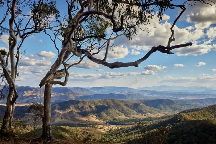 Framed Print : Scenic Rim in Lamington National Park Framed Print : Scenic Rim in Lamington National Park