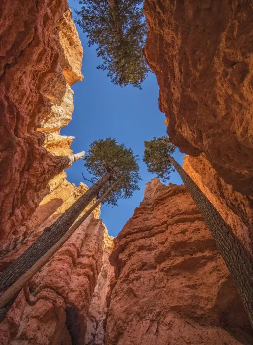 Framed Print : A scenic view at Bryce Canyon national park, Utah, USA