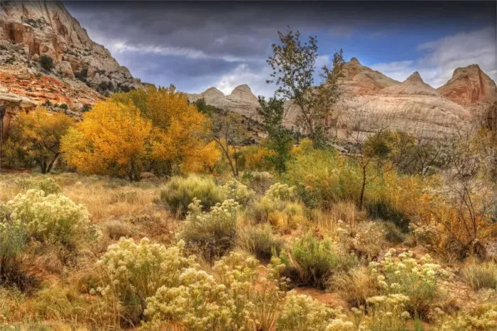 Framed Print : A scenic view at Capital Reef National Park in Utah, western United States