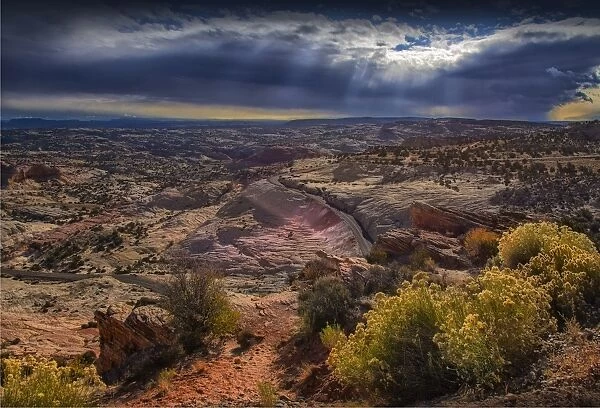 A scenic view at Capital Reef National Park in Utah, western United States
