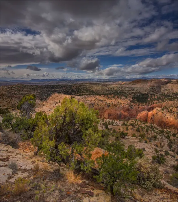 Framed Print : A scenic view at Capital Reef National Park in Utah, western United States Framed Print : A scenic view at Capital Reef National Park in Utah, western United States