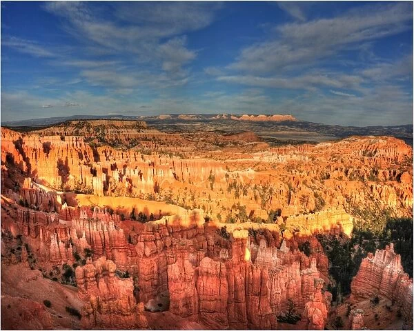 A scenic view at the first light of morning, in the Bryce Canyon national park, Utah, USA