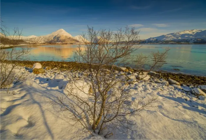 Framed Print : Scenic view in the Fiskefjorden region during winter-time, Arctic circle of Norway Framed Print : Scenic view in the Fiskefjorden region during winter-time, Arctic circle of Norway