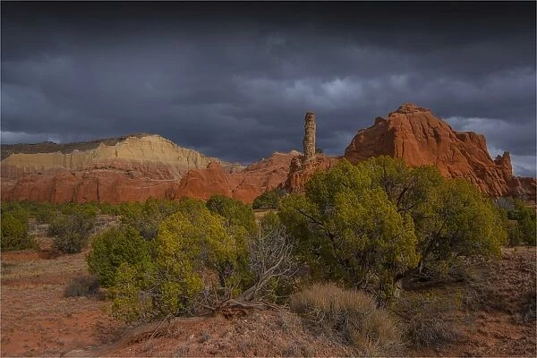 A scenic view in the Kodachrome Basin State Park Utah, western United States