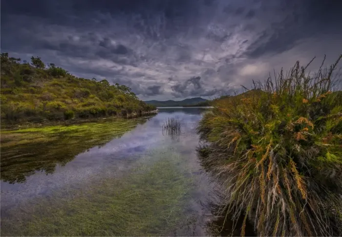 Framed Print : Scenic view of Lake Pedder in the south west wilderness of Tasmania, Australia