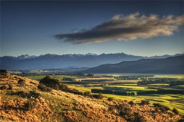 Scenic view near Te-Anau in the late afternoon, with Autumn colour display, South Island, New Zealand