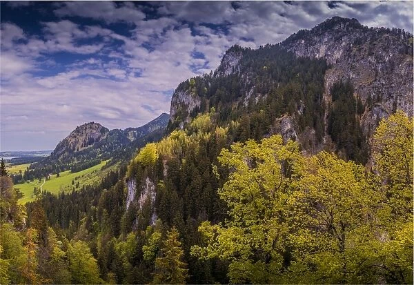 Scenic view, Neuschwantein, Bavaria, Germany