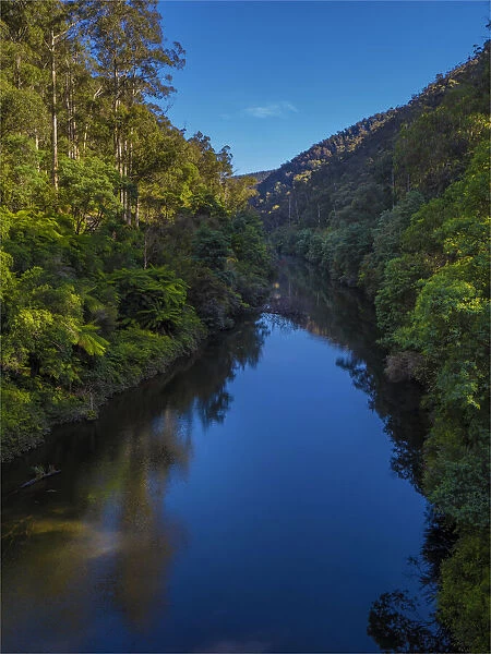 A scenic view of the Thomson river, Central Gippsland, Victoria