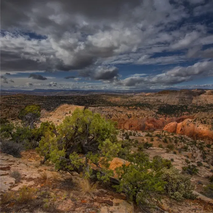 Framed Print : A scenic viewpoint in the Escalante wilderness, Utah, western United States Framed Print : A scenic viewpoint in the Escalante wilderness, Utah, western United States