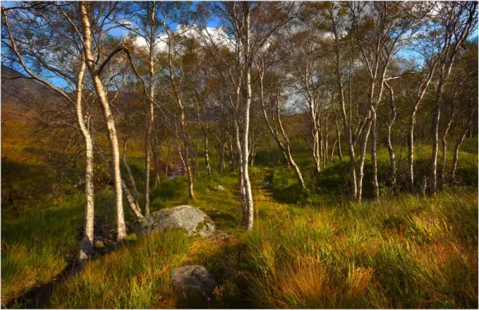 Framed Print : The scenically beautiful mountainous area of Etive mor in the Western highlands of Scotland