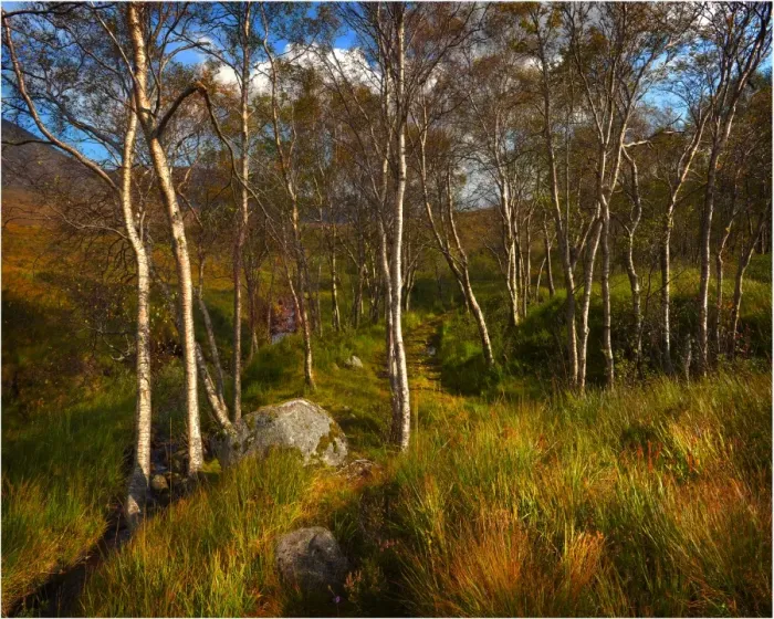 Framed Print : The scenically beautiful mountainous area of Etive mor in the Western highlands of Scotland Framed Print : The scenically beautiful mountainous area of Etive mor in the Western highlands of Scotland
