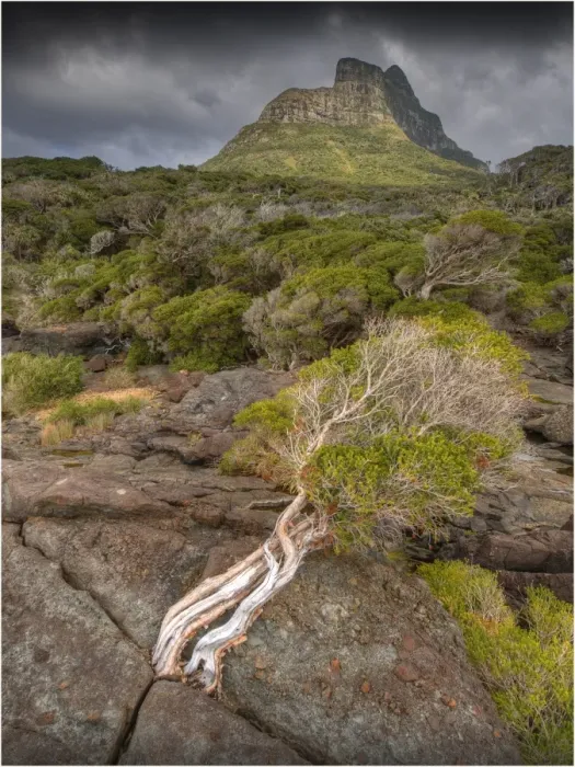 Framed Print : Scenically beautiful and a world heritage designated location, Lord Howe Island lies between the South Pacific ocean and the Tasman sea off the coast of New South Wales, Australia Framed Print : Scenically beautiful and a world heritage designated location, Lord Howe Island lies between the South Pacific ocean and the Tasman sea off the coast of New South Wales, Australia