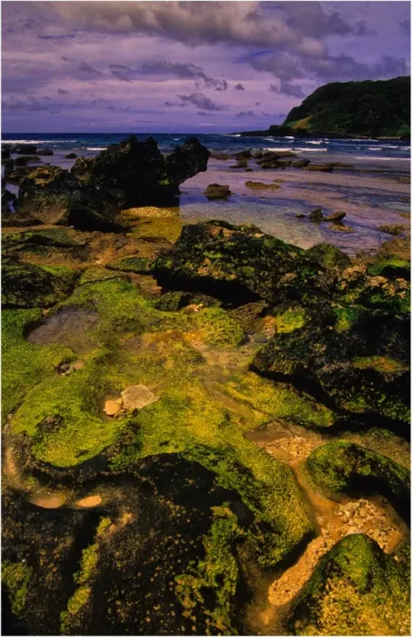 Framed Print : Scenically beautiful and a world heritage designated location, Lord Howe Island lies between the South Pacific ocean and the Tasman sea off the coast of New South Wales, Australia Framed Print : Scenically beautiful and a world heritage designated location, Lord Howe Island lies between the South Pacific ocean and the Tasman sea off the coast of New South Wales, Australia