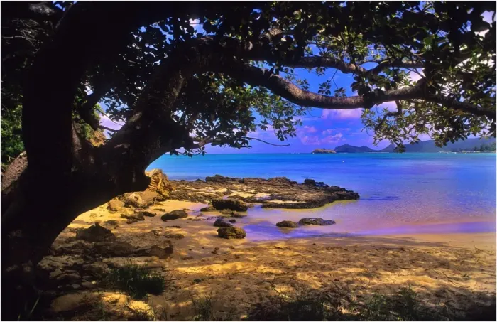 Framed Print : Scenically beautiful and a world heritage designated location, Lord Howe Island lies between the South Pacific ocean and the Tasman sea off the coast of New South Wales, Australia Framed Print : Scenically beautiful and a world heritage designated location, Lord Howe Island lies between the South Pacific ocean and the Tasman sea off the coast of New South Wales, Australia