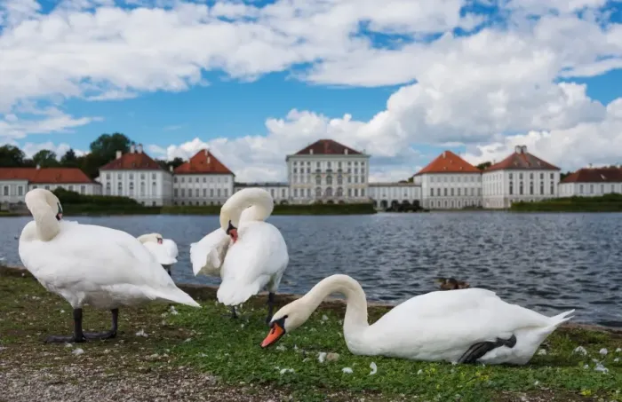 Framed Print : Schloss Nymphenburg