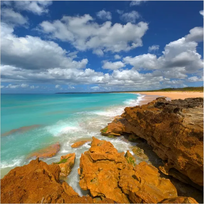 Framed Print : Sea Elephant bay, east coastline of King Island Bass Strait, Tasmania, Australia Framed Print : Sea Elephant bay, east coastline of King Island Bass Strait, Tasmania, Australia