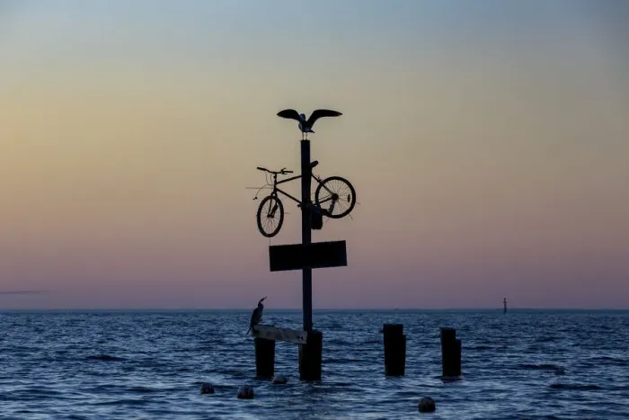 Framed Print : A seagull spreads its wings on a bicycle at the seaside Framed Print : A seagull spreads its wings on a bicycle at the seaside