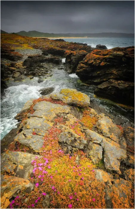 Framed Print : Seal bay and the coastline in the south of King Island, Bass Strait, Tasmania, Australia