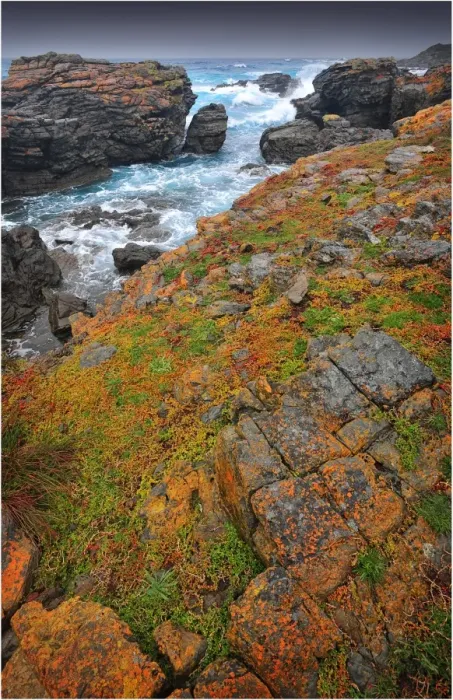 Framed Print : Seal bay and the coastline in the south of King Island, Bass Strait, Tasmania, Australia