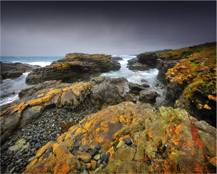 Framed Print : Seal bay and the coastline in the south of King Island, Bass Strait, Tasmania, Australia Framed Print : Seal bay and the coastline in the south of King Island, Bass Strait, Tasmania, Australia