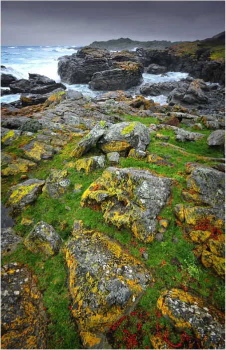 Framed Print : Seal bay and the coastline in the south of King Island, Bass Strait, Tasmania, Australia