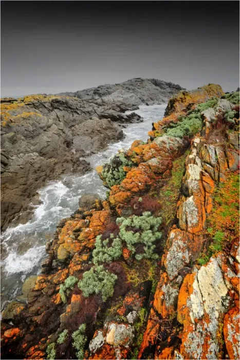 Framed Print : Seal bay, isolated, and extremely rugged and rocky coastline, is magnificent in winter as huge waves pound the coast. King Island, Bass Strait, Tasmania Framed Print : Seal bay, isolated, and extremely rugged and rocky coastline, is magnificent in winter as huge waves pound the coast. King Island, Bass Strait, Tasmania