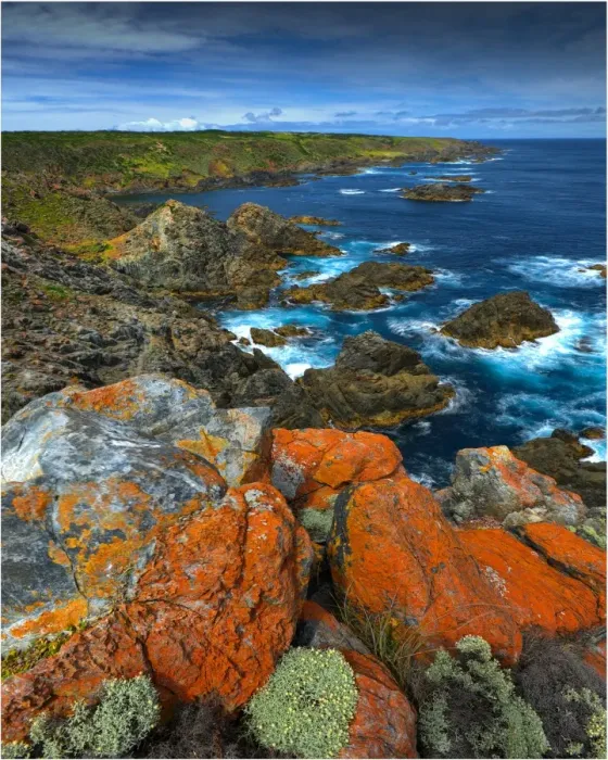Framed Print : Seal bay, King Island, Bass Strait, Tasmania, Australia Framed Print : Seal bay, King Island, Bass Strait, Tasmania, Australia