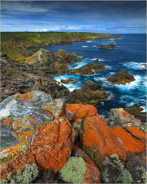 Seal bay, King Island, Bass Strait, Tasmania, Australia