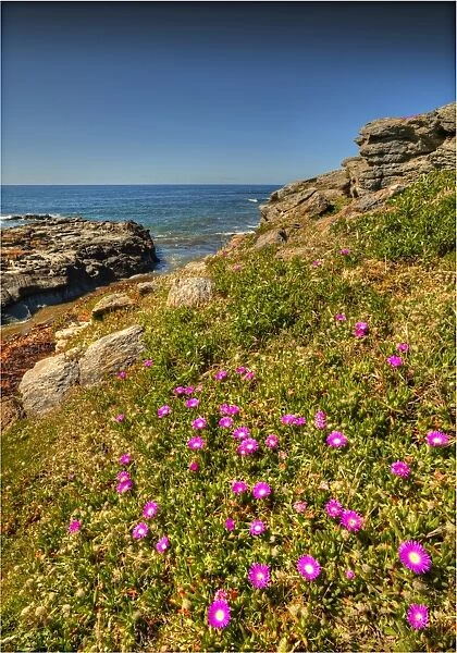 Seal Point, King Island, Bass Strait, Tasmania, Australia