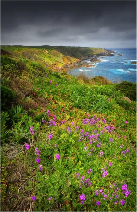 Framed Print : Seal Rocks, King Island, Bass Strait, Tasmania, Australia