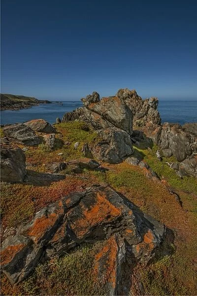 Seal Rocks, King Island, Bass Strait, Tasmania, Australia