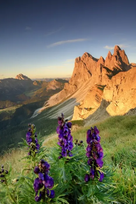 Framed Print : Seceda mountain Framed Print : Seceda mountain