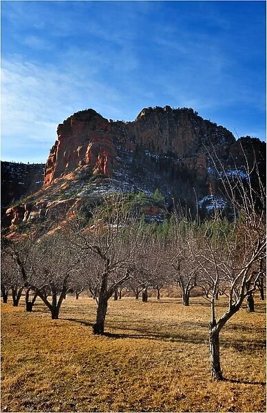A Sedona view, Arizona, Western united States of America