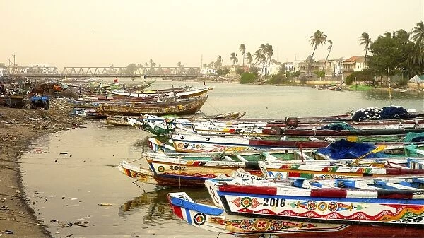 Senegal River and the city of Saint Louis, UNESCO World Heritage Site, Senegal, West Africa, Africa