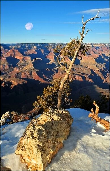Setting moon, Grand Canyon, Arizona, Western united States of America
