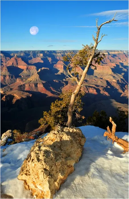 Framed Print : Setting moon, Grand Canyon, Arizona, Western united States of America Framed Print : Setting moon, Grand Canyon, Arizona, Western united States of America