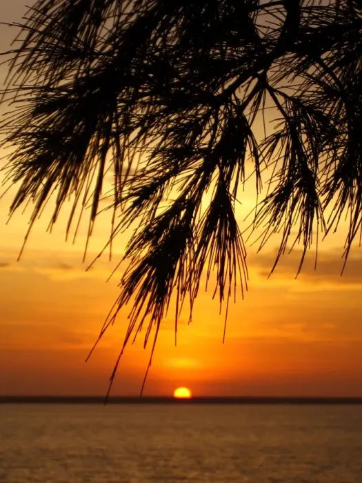 Framed Print : The Setting Sun Framed Print : The Setting Sun