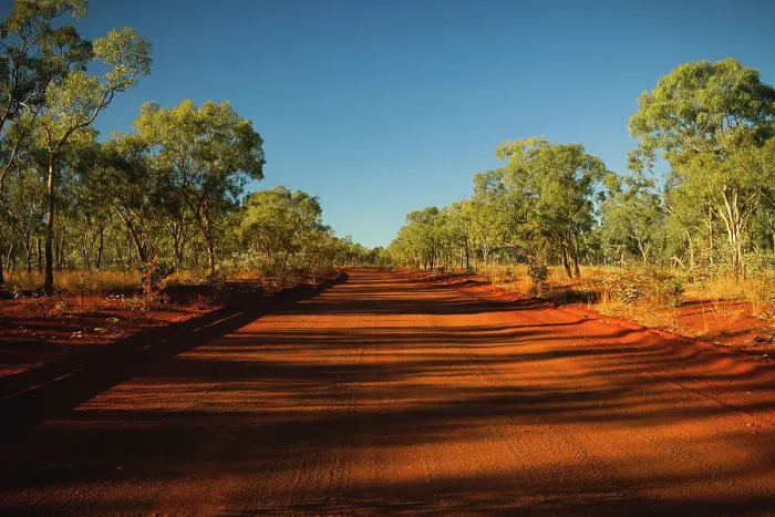 Framed Print : Shadows from trees crossing the Gibb River Road, Western Australia, Australia Framed Print : Shadows from trees crossing the Gibb River Road, Western Australia, Australia